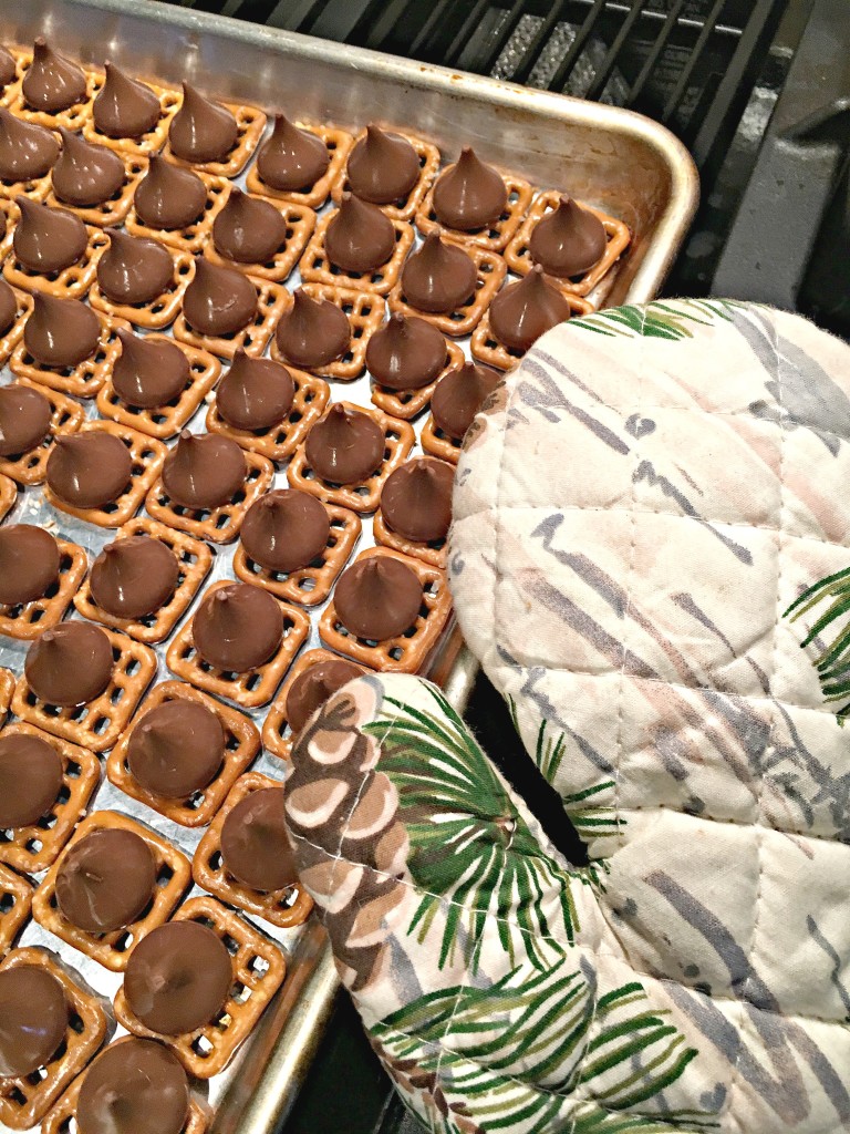 Hershey Kisses, M & Ms, Snaps, Pretzels, Sweet and Salty Snack, St. Patrick's Day Treat