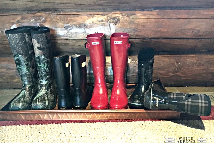 Rainbows, Bogs, Hunter