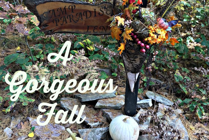 Autumn wreath, fall decor