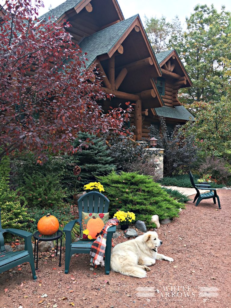 Log Cabin, great Pyrenees fall decor