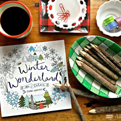 Winter Time Fun in The Northwoods