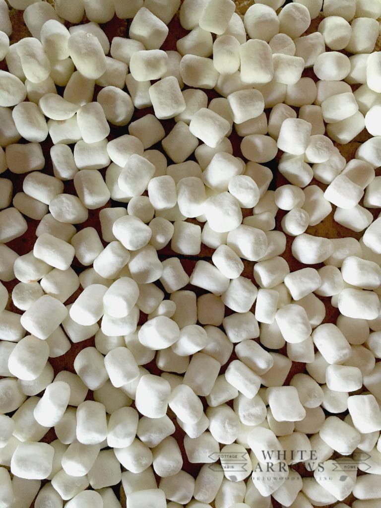 S'mores, Marshmallows, S'mores bars