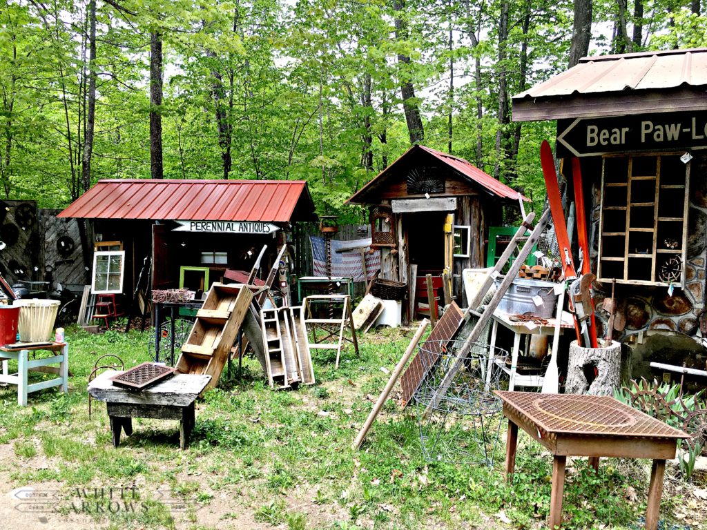 Antique Shop, Minocqua, Perennials, Northwoods