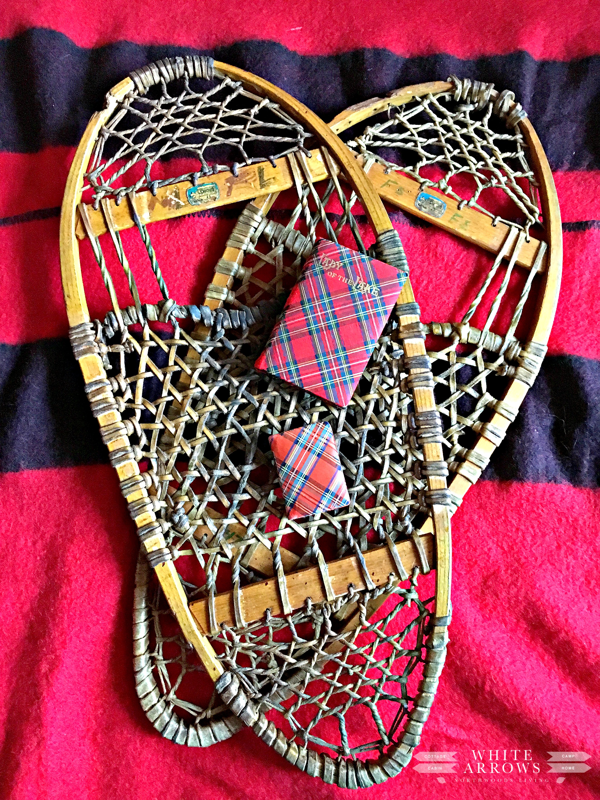 Lady of the Lake, Sir Walter Scott, Vintage, Vintage Snow Shoes, Point Blanket, Vintage Books, Plaid