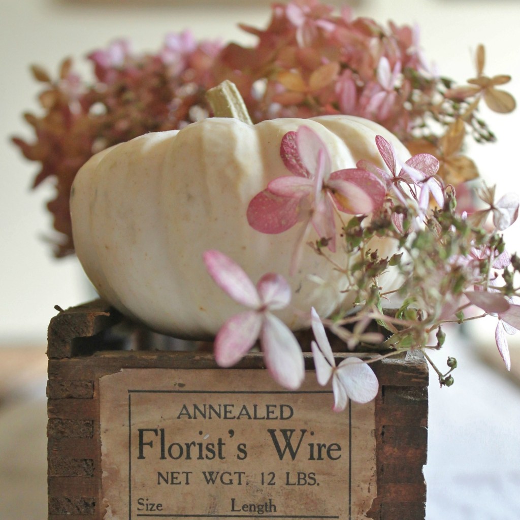 Fall Decor, Autumn Decor, white pumpkins, hydrangea, pumpkin and hydrangea