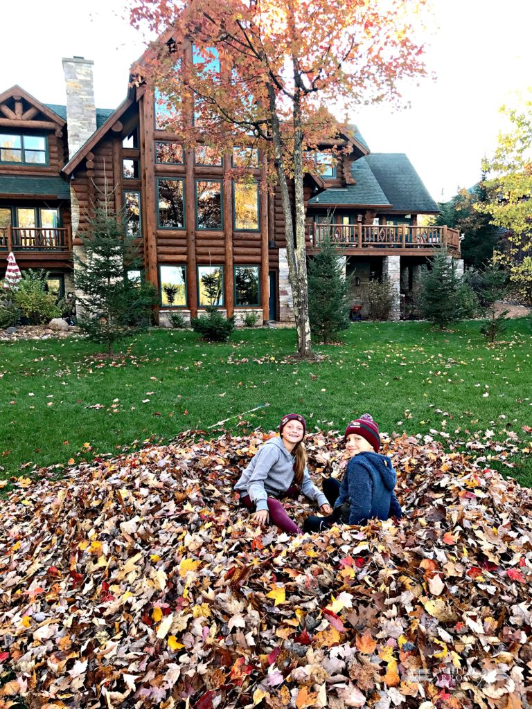 Log Cabin, Northwoods, Leaf Pile, Fall Leaves