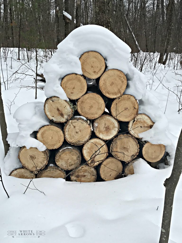 winter, wood pile, wood pile in snow, fire wood, logs