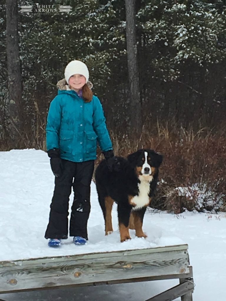 Snow Day, Lands End Winter Clothes, Bernesse Mountain Dog