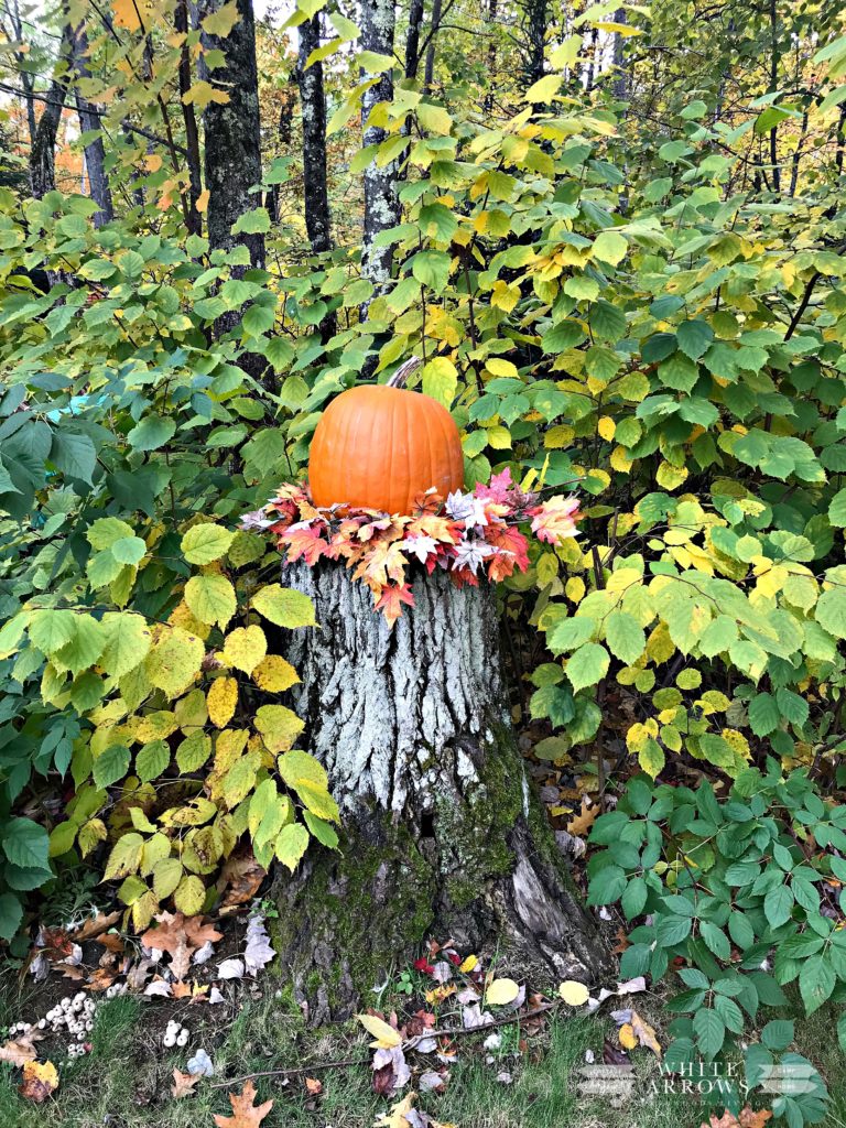 Fall Decor, Pumpkin on Stump