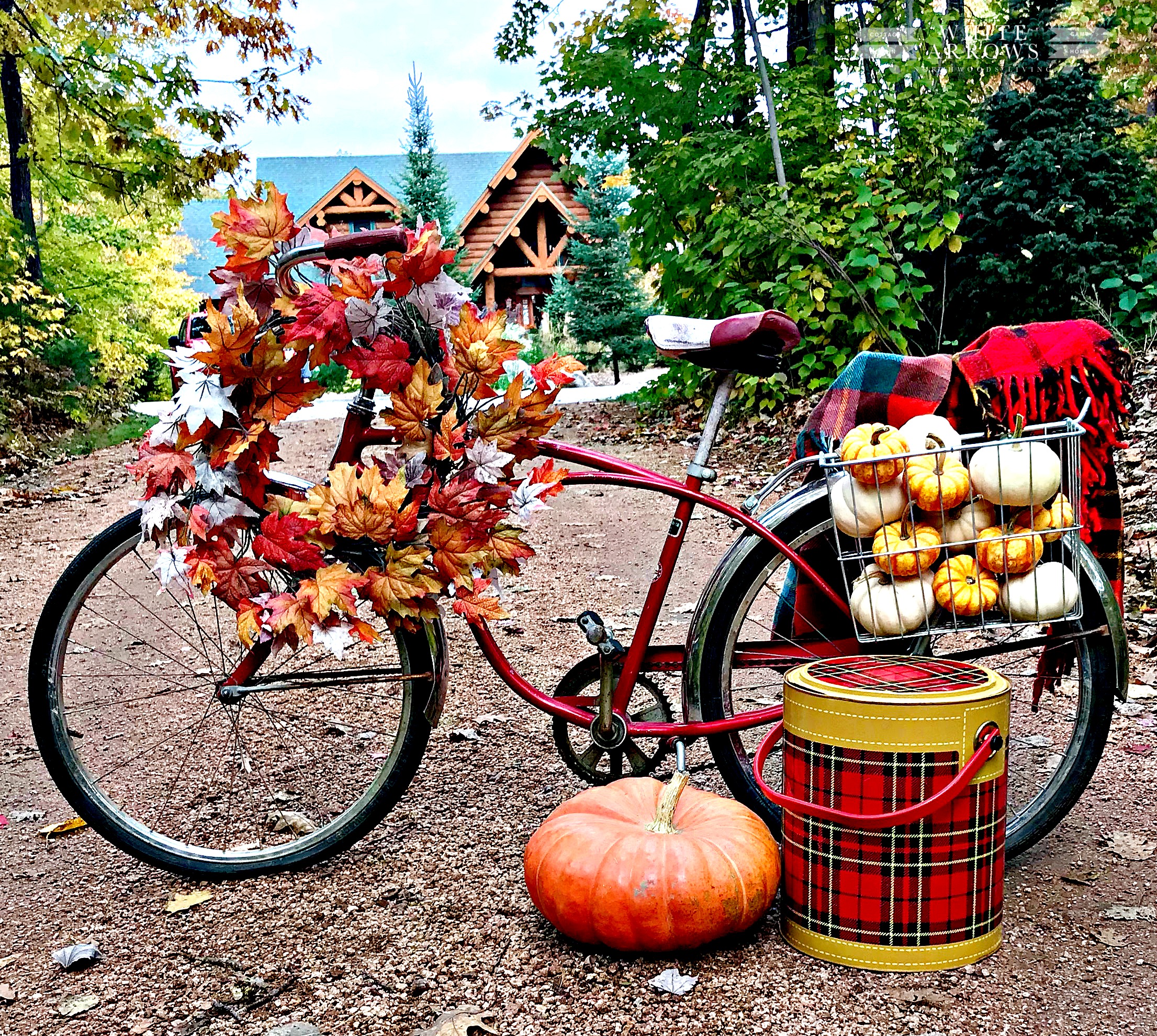 Autumn Decor, Fall Porch, Fall Decor, Fall Front Porch, mums and pumpkins, plaid, log cabin, schwa, vintage bike, scotch cooler