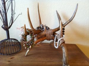 Antler Jewelry Holder