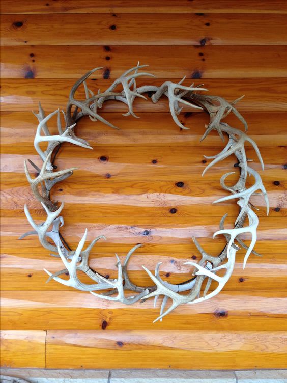 Decorating With Antlers Ideas For Your