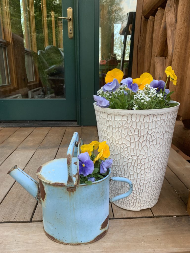 summer-porch-decor-pansies-vintage