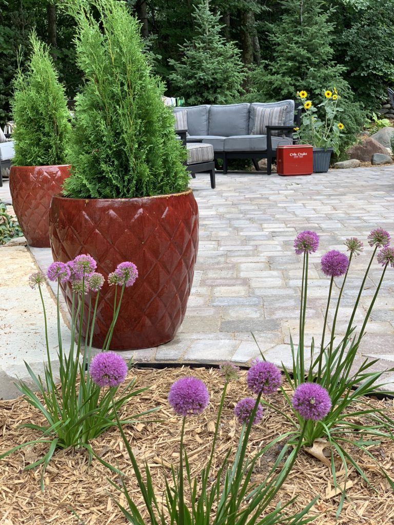 red pots on patio with arbor vitae