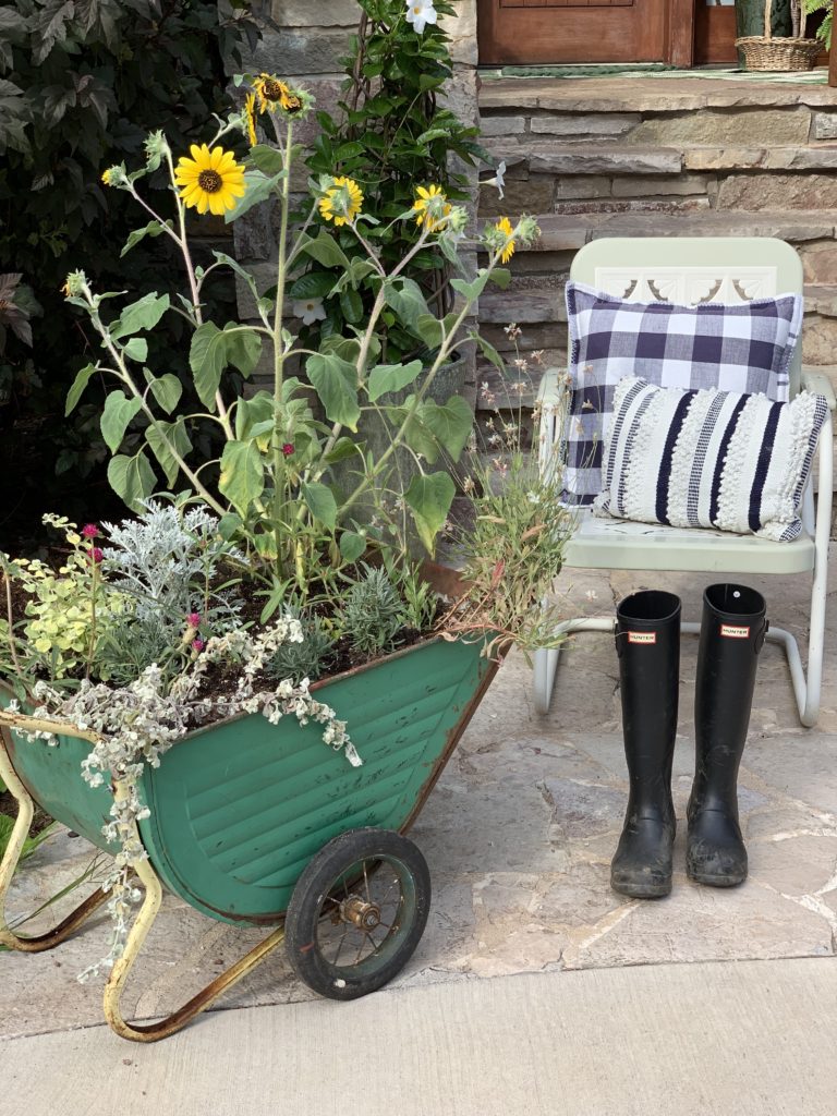 Vintage rusty green wagon full of sunflowers.