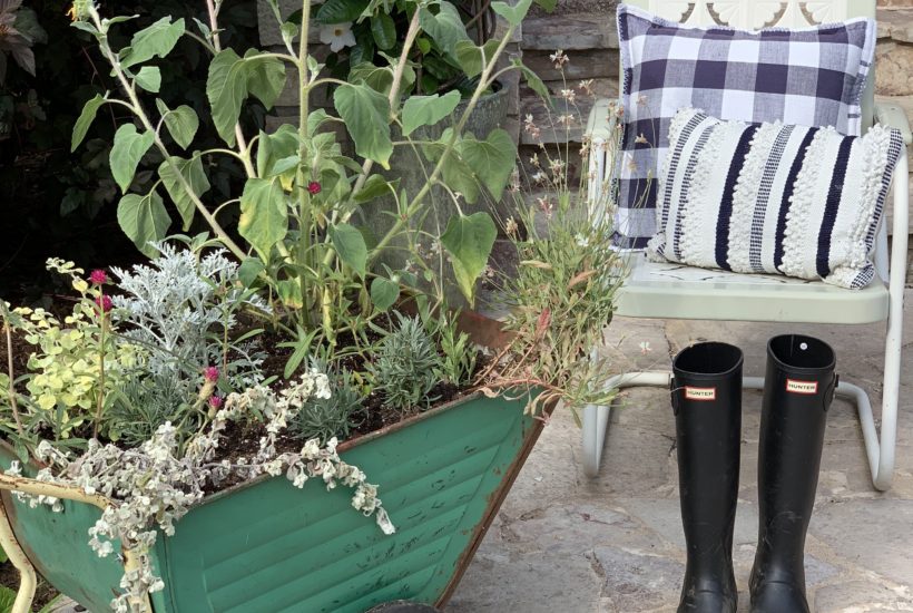 Vintage rusty green wagon full of sunflowers.