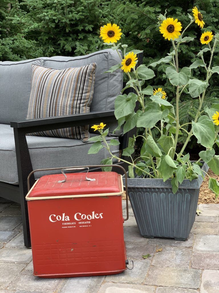 Vintage red cooler and sunflowers