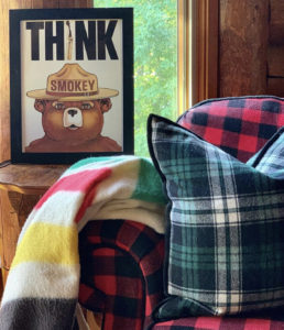 Smokey Bear Think Poster