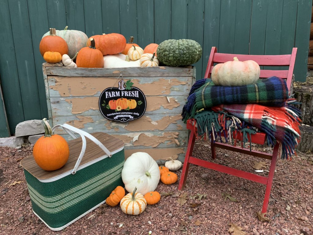 Fall Porch pumpkins in box