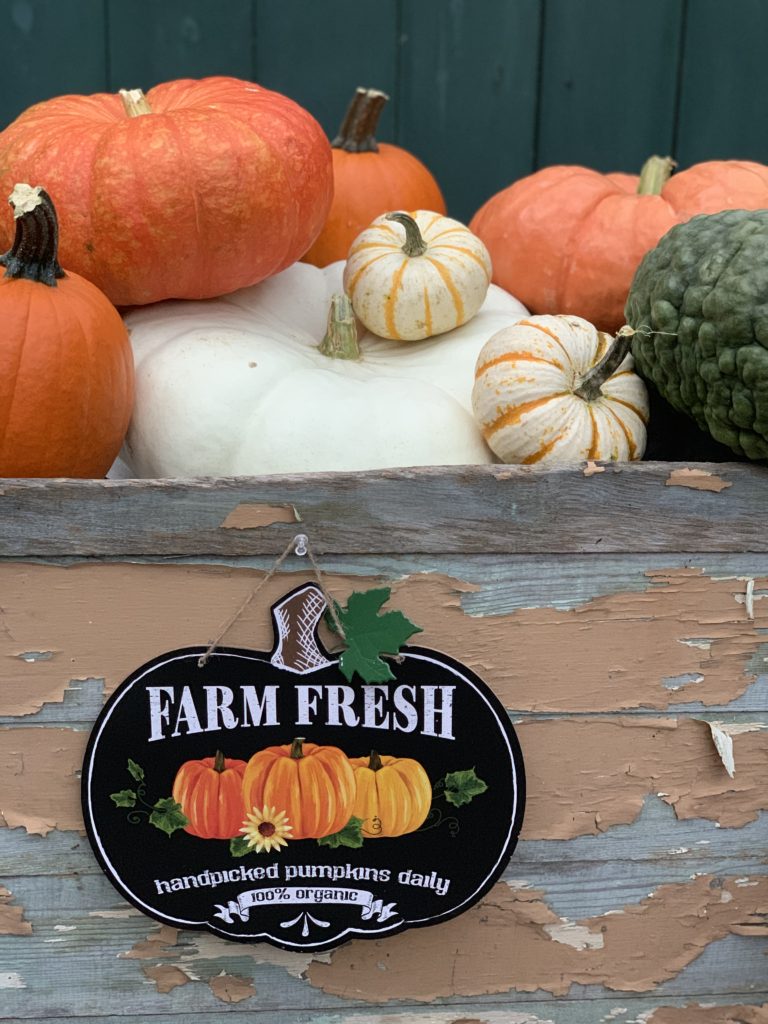 Pumpkin patch sign