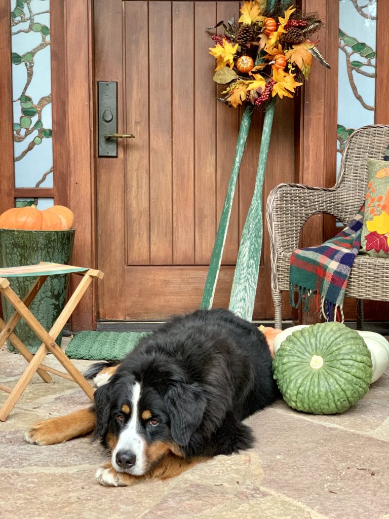Fall Porch at Lake Cabin with Bernese Mountain Dog Laying Down