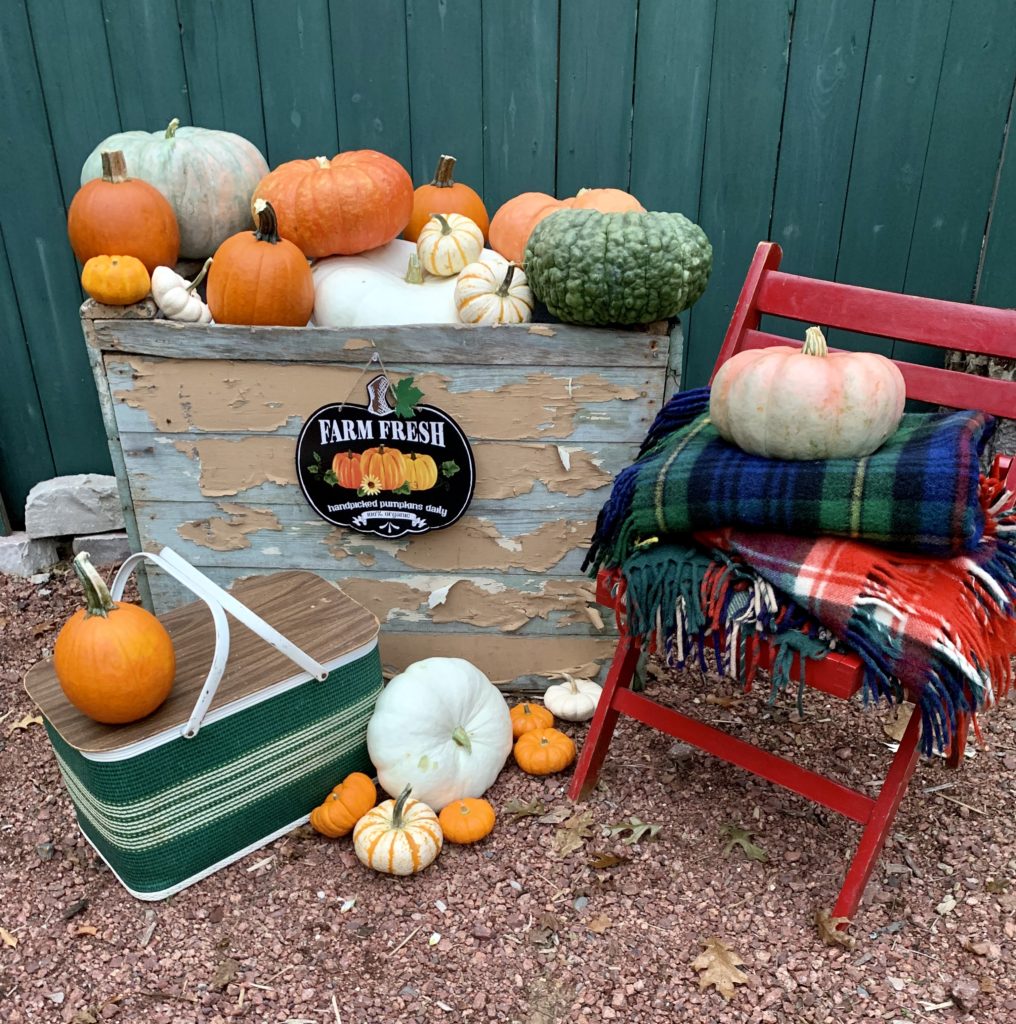 Chippy wood box full of pumpkins