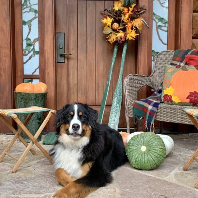 Fall Porch Gives Curb Appeal