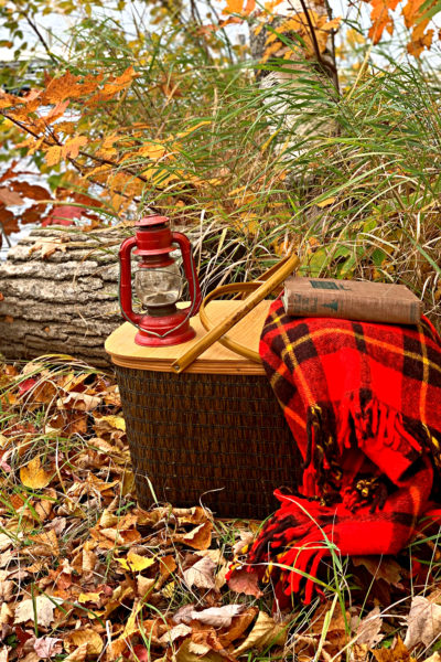 Vintage Picnic Basket and blanket