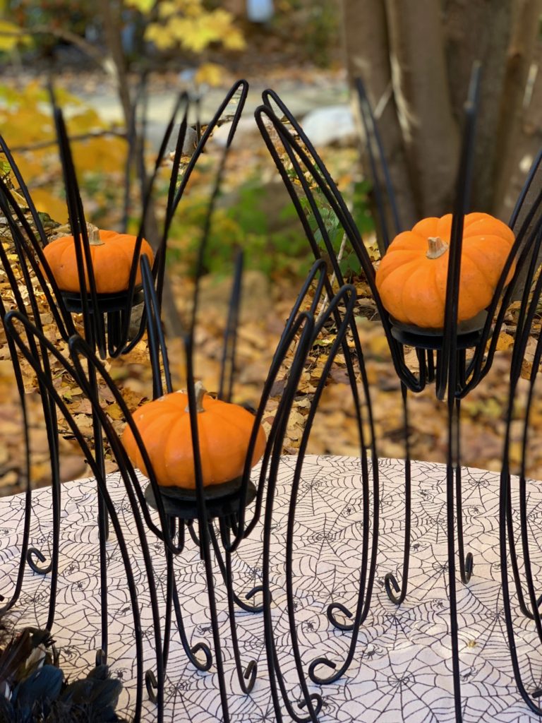 Black Spider candleholders hold mini pumpkins