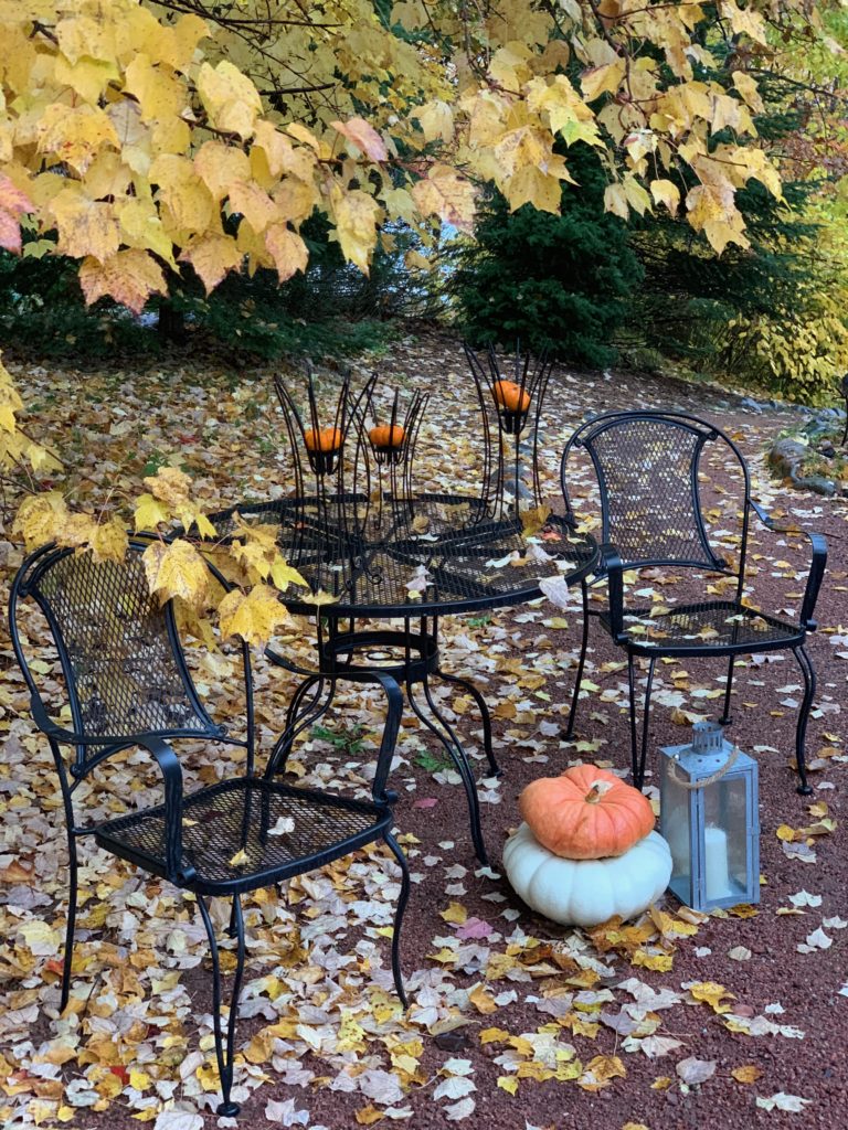 Outdoor Table with pumpkins in the leaves