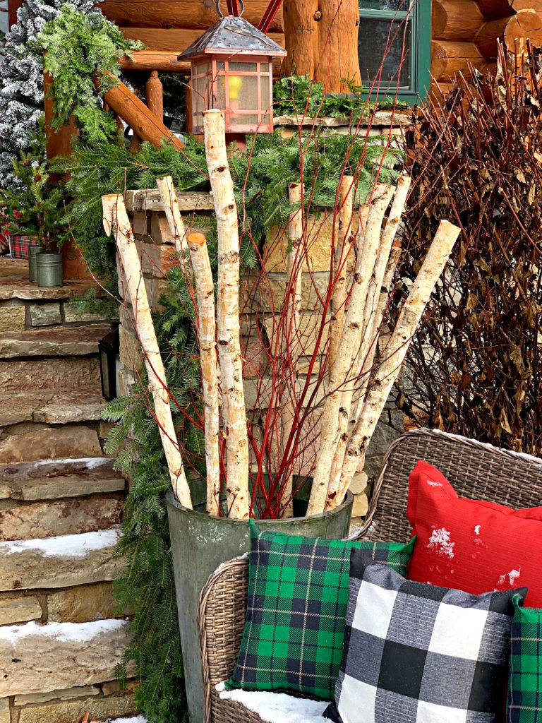 birch rods in green pot on porch