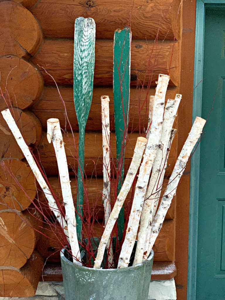 planter filled with birch and vintage oars