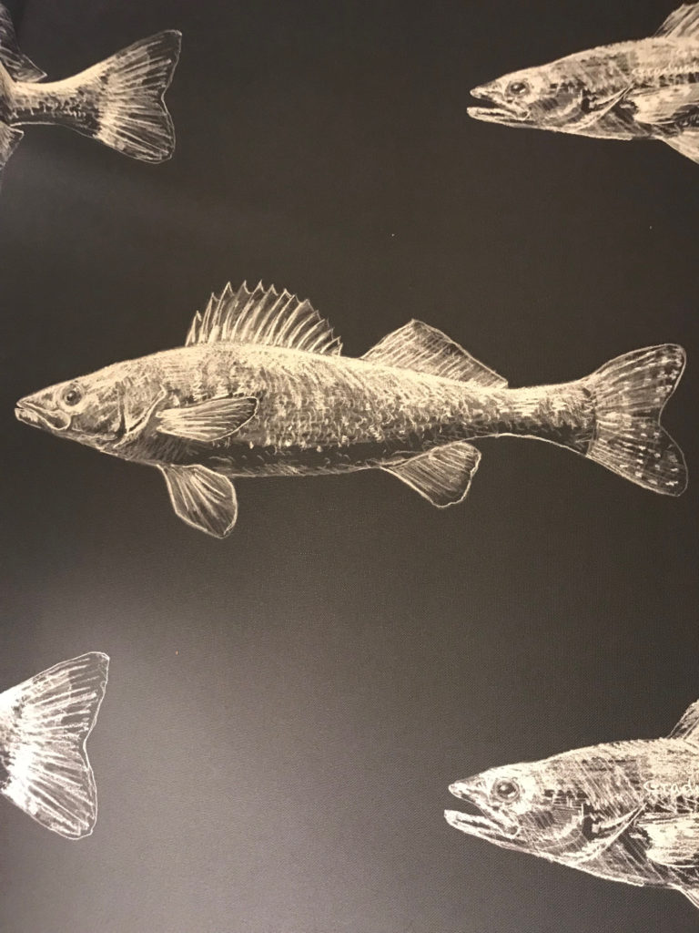 walleye wallpaper Graduate Minneapolis 