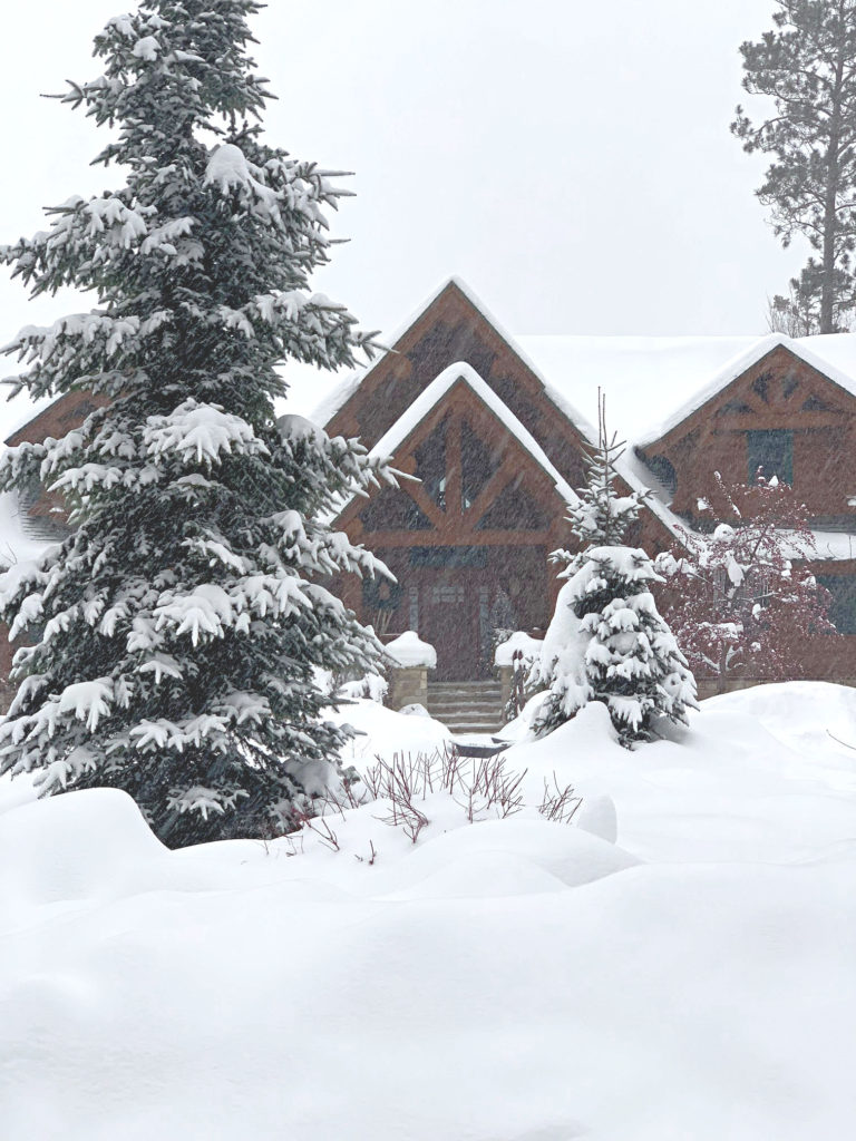 Cabin in the Snow