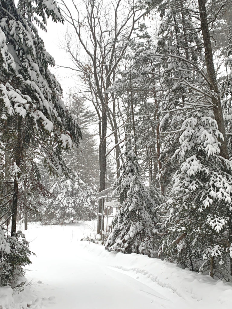 Winter Snowy Road