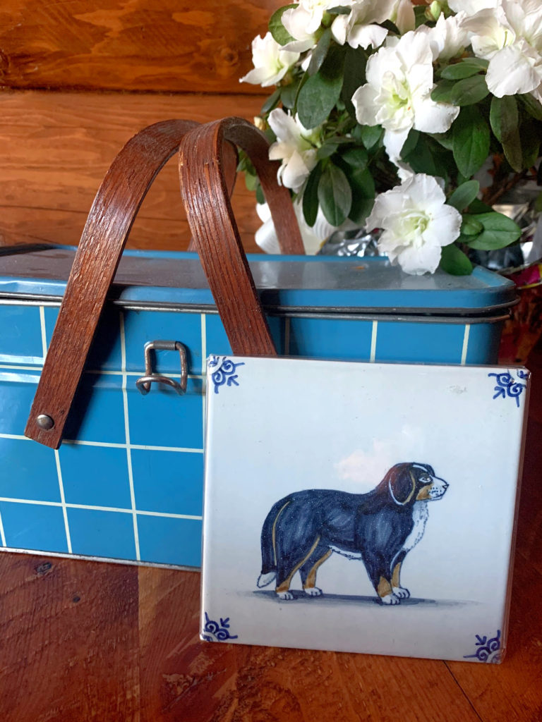 DIY Dog Leash Holder- Dutch Tile