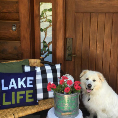 Buffalo Check Decor Inspiration