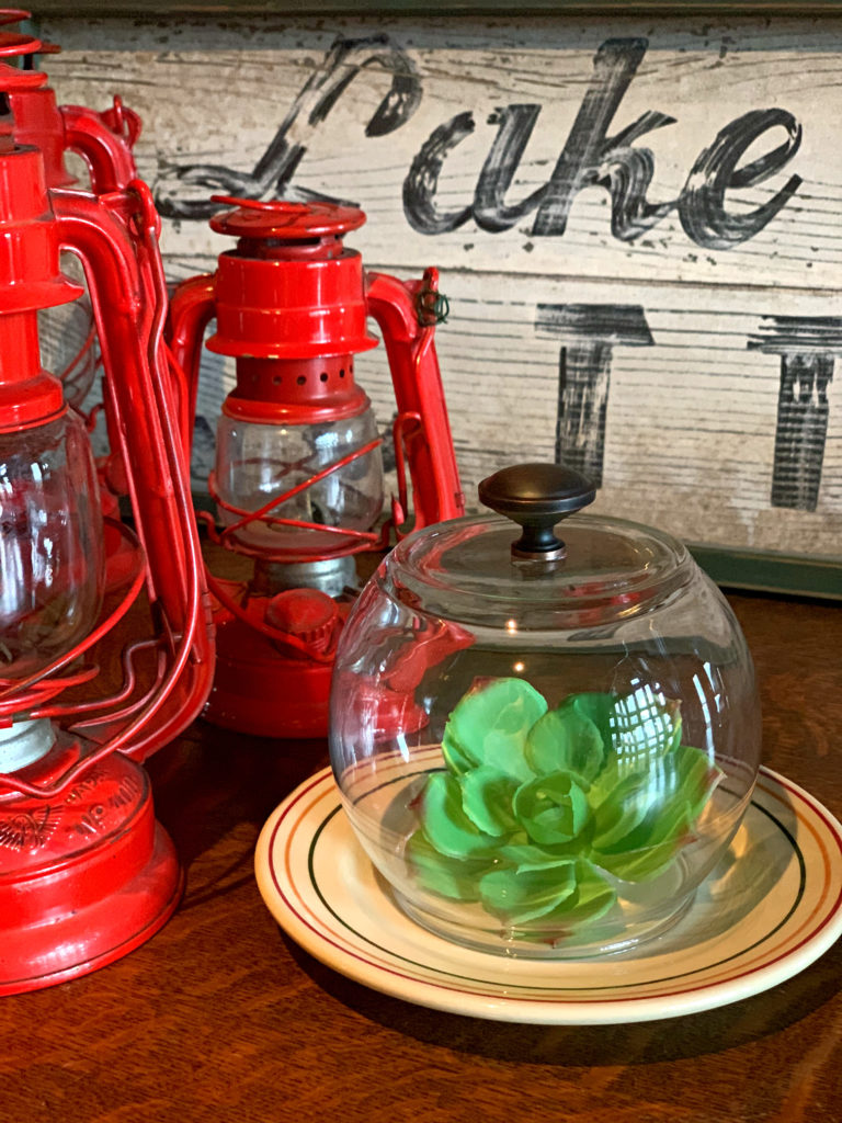 DIY Cloche Glass Dome Decor Craft Project Succulent