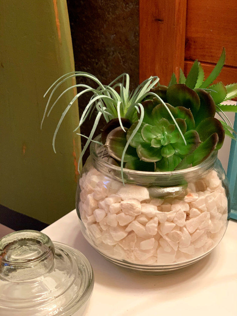 Succulents in Jar