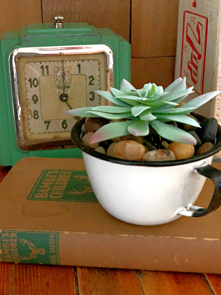 Succulent Mug