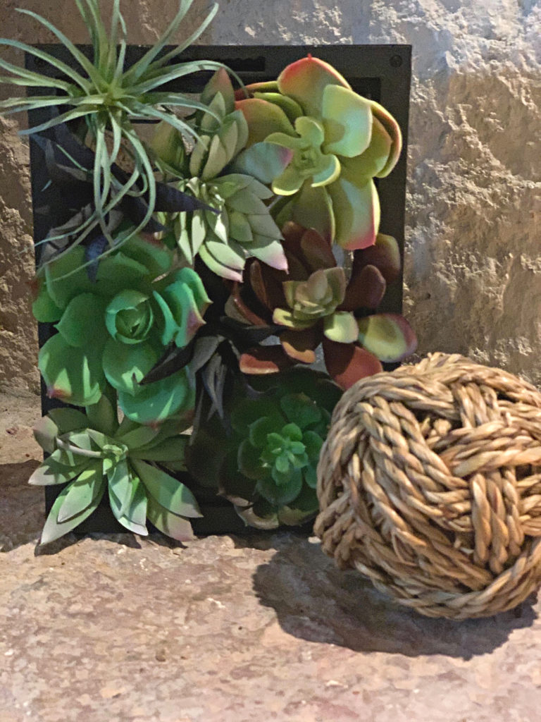 Succulent Wall