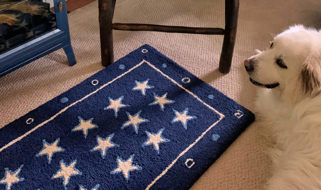 https://whitearrowshome.com/wp-content/uploads/2020/06/Chandler-4-Corners-Rug-and-Dog-1024x606.jpg