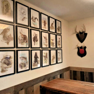 Decorating with Antlers