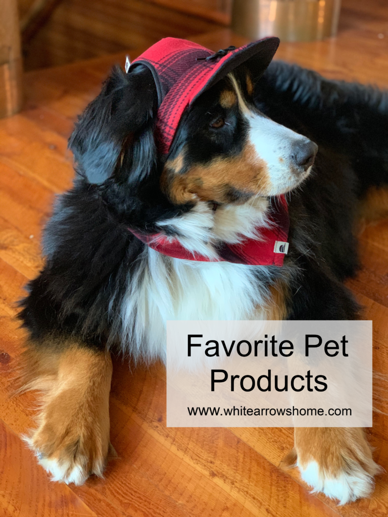 dog products from Stormy Kromer