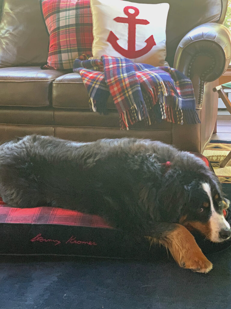 Stormy Kromer dog bed