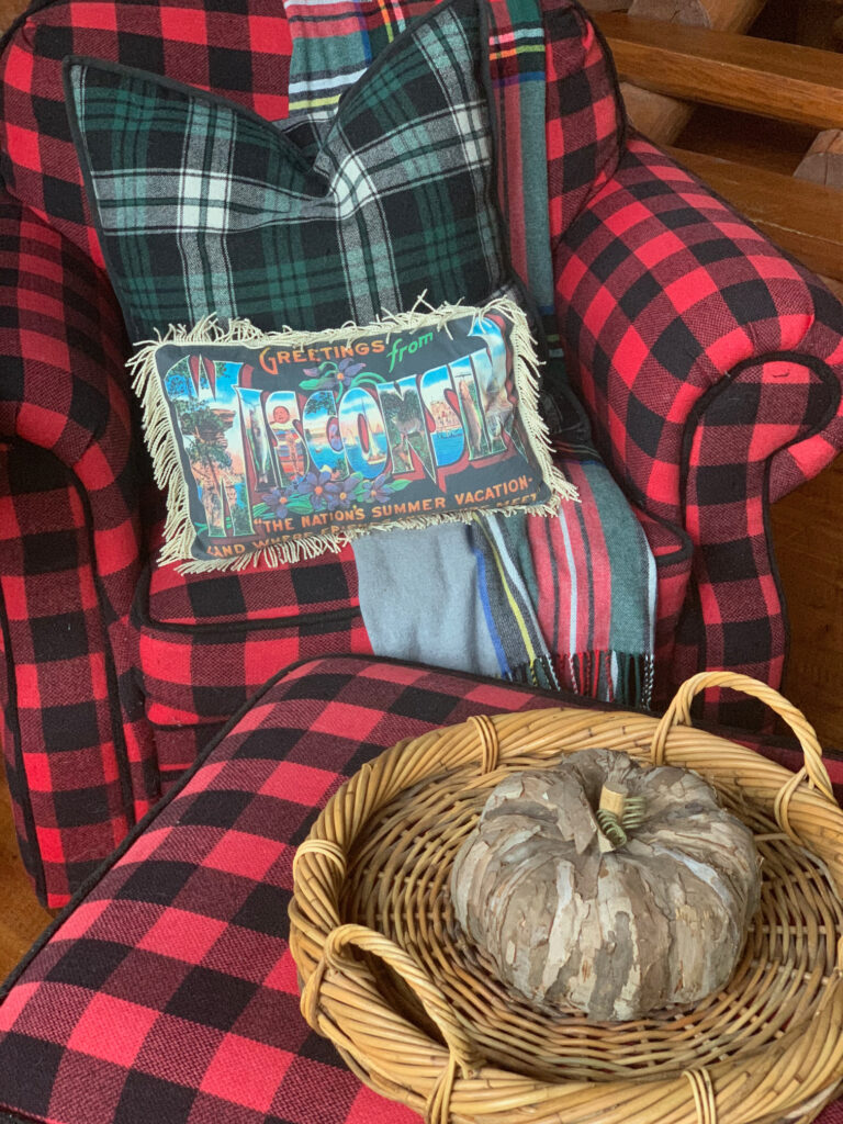 Cozy Reading Corner in the Cabin