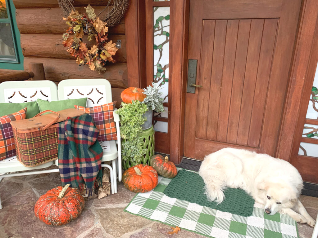 Fall Front Porch Great Pyrennes