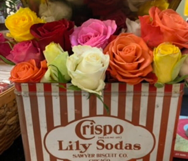 roses in vintage tin