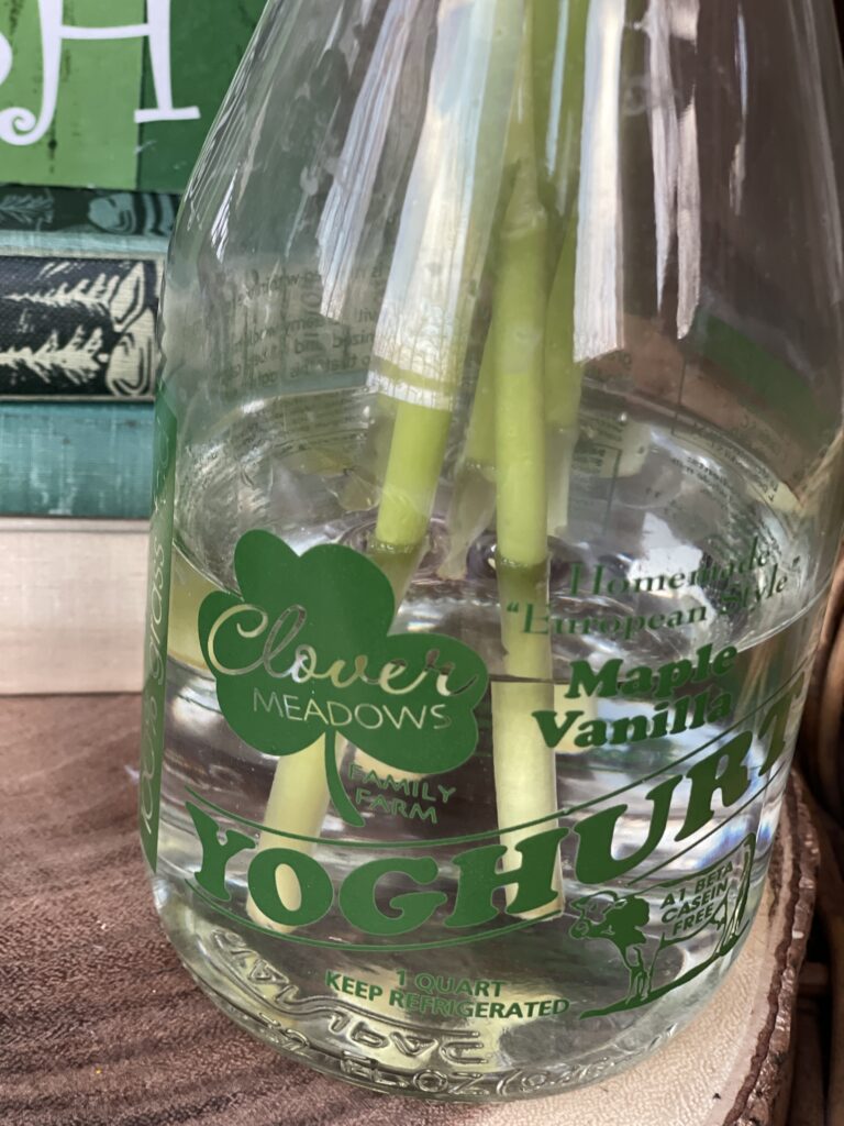 Vintage milk jug