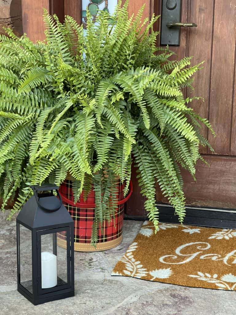 Front Porch Decor with Carpet One-